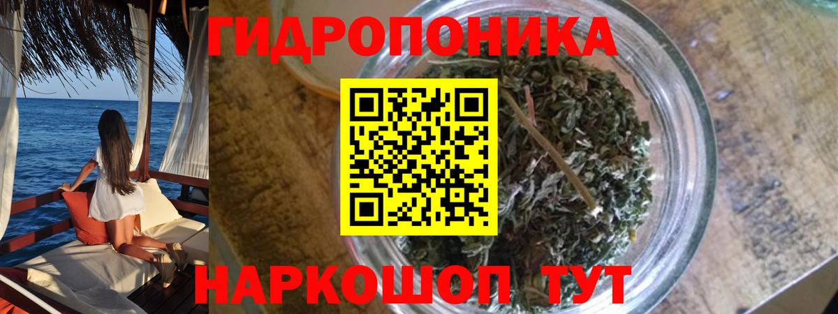 Шишки марихуана конопля Лангепас